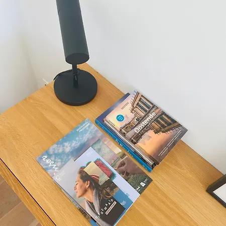 Prachtig Gerenoveerd Apartament