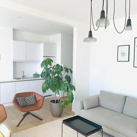 Prachtig Gerenoveerd Appartement