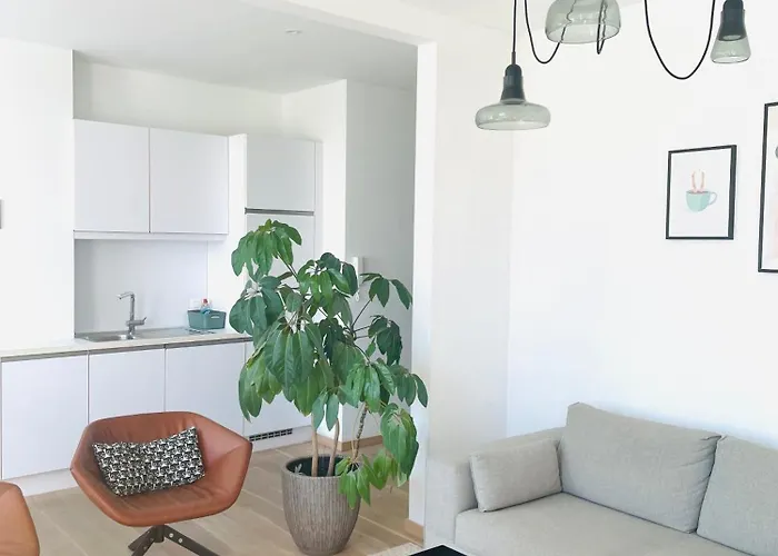 Prachtig Gerenoveerd Apartment